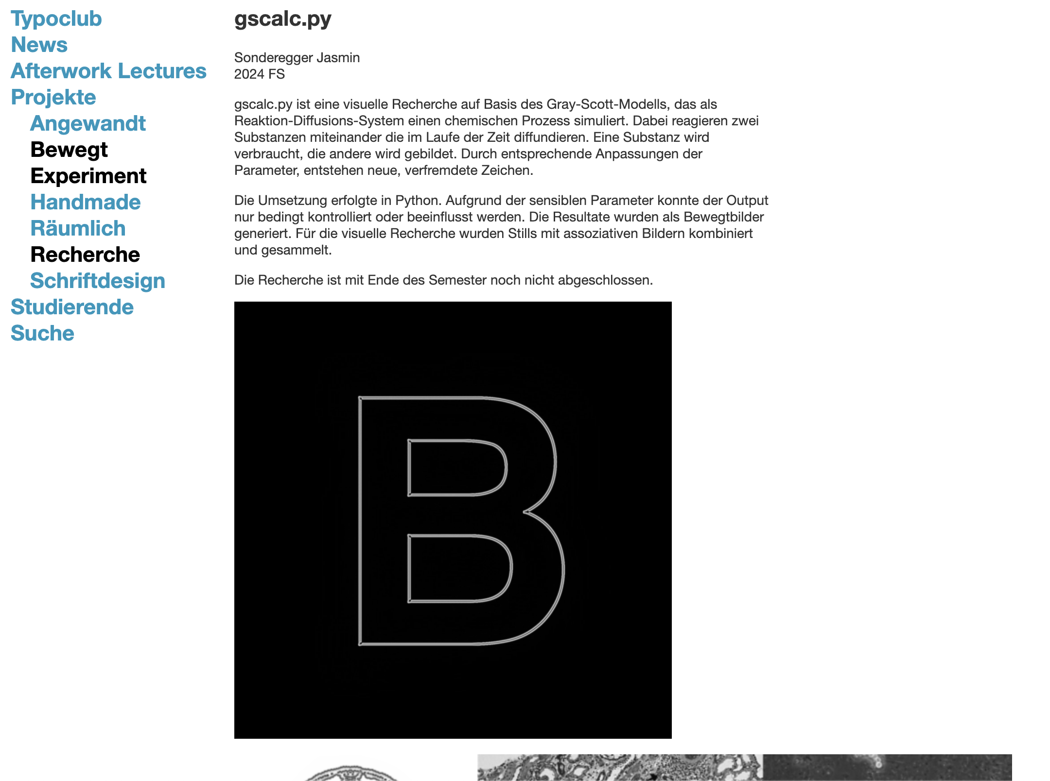 Portfolio Image 5